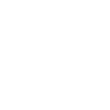 Camelo VIZ